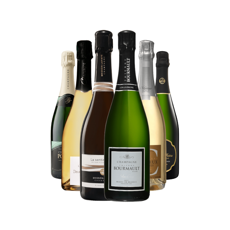 Champagne Terroir - Edición limitada: estuche Blanc de Blancs 6 botellas