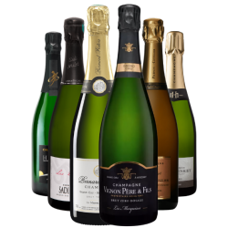 Champagne Terroir - Édition...