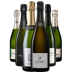 Champagne Terroir -...