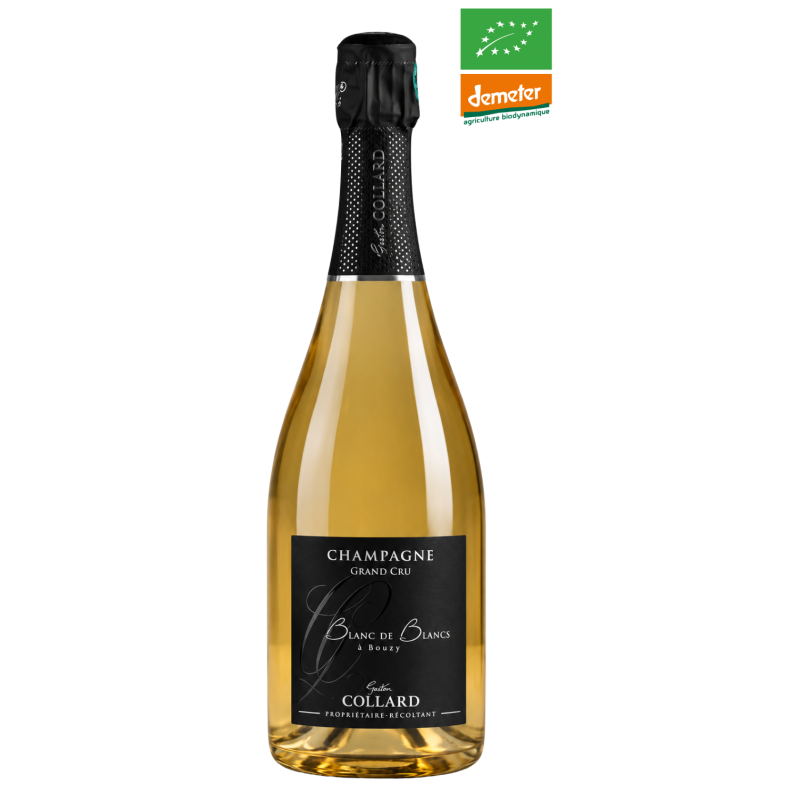 Champagner Gaston Collard - Blanc de blancs Grand Cru Weinlese 2019