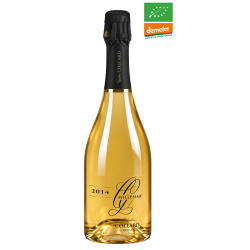 Champagne Gaston Collard -...