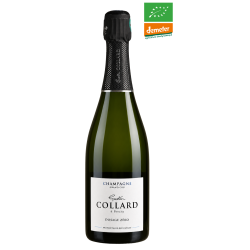 Champagne Gaston Collard -...