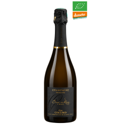 Champagner Gaston Collard -...