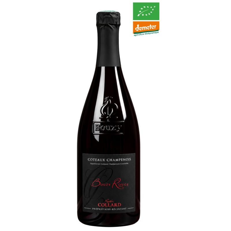 Champagne Gaston Collard - Bouzy Rouge 2022 "Vaudayant" sans souffre