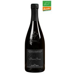 Champagne Gaston Collard -...