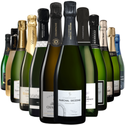 Champagne Terroir -...